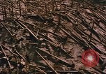 Standbild Mount Saint Helens Washington State United States USA, 1986, aus Sekunde 11 historischem Filmmaterial Videoclip 65675037864