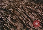 Standbild Mount Saint Helens Washington State United States USA, 1986, aus Sekunde 12 historischem Filmmaterial Videoclip 65675037864