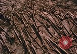 Standbild Mount Saint Helens Washington State United States USA, 1986, aus Sekunde 13 historischem Filmmaterial Videoclip 65675037864