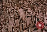 Standbild Mount Saint Helens Washington State United States USA, 1986, aus Sekunde 15 historischem Filmmaterial Videoclip 65675037864