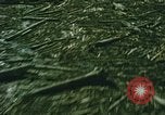 Standbild Mount Saint Helens Washington State United States USA, 1986, aus Sekunde 36 historischem Filmmaterial Videoclip 65675037864