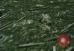 Standbild Mount Saint Helens Washington State United States USA, 1986, aus Sekunde 37 historischem Filmmaterial Videoclip 65675037864