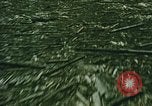 Standbild Mount Saint Helens Washington State United States USA, 1986, aus Sekunde 39 historischem Filmmaterial Videoclip 65675037864