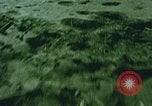 Standbild Mount Saint Helens Washington State United States USA, 1986, aus Sekunde 59 historischem Filmmaterial Videoclip 65675037864