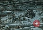 Standbild Mount Saint Helens Washington State United States USA, 1986, aus Sekunde 6 historischem Filmmaterial Videoclip 65675037865