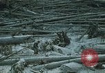 Standbild Mount Saint Helens Washington State United States USA, 1986, aus Sekunde 7 historischem Filmmaterial Videoclip 65675037865