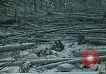 Standbild Mount Saint Helens Washington State United States USA, 1986, aus Sekunde 8 historischem Filmmaterial Videoclip 65675037865