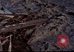 Standbild Mount Saint Helens Washington State United States USA, 1984, aus Sekunde 28 historischem Filmmaterial Videoclip 65675037868