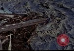 Standbild Mount Saint Helens Washington State United States USA, 1984, aus Sekunde 30 historischem Filmmaterial Videoclip 65675037868
