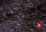Standbild Mount Saint Helens Washington State United States USA, 1984, aus Sekunde 43 historischem Filmmaterial Videoclip 65675037868
