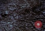 Standbild Mount Saint Helens Washington State United States USA, 1984, aus Sekunde 44 historischem Filmmaterial Videoclip 65675037868