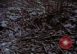 Standbild Mount Saint Helens Washington State United States USA, 1984, aus Sekunde 45 historischem Filmmaterial Videoclip 65675037868