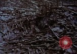 Standbild Mount Saint Helens Washington State United States USA, 1984, aus Sekunde 46 historischem Filmmaterial Videoclip 65675037868