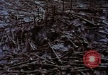 Standbild Mount Saint Helens Washington State United States USA, 1984, aus Sekunde 47 historischem Filmmaterial Videoclip 65675037868