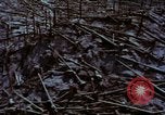 Standbild Mount Saint Helens Washington State United States USA, 1984, aus Sekunde 48 historischem Filmmaterial Videoclip 65675037868