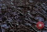 Standbild Mount Saint Helens Washington State United States USA, 1984, aus Sekunde 49 historischem Filmmaterial Videoclip 65675037868
