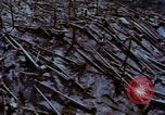 Standbild Mount Saint Helens Washington State United States USA, 1984, aus Sekunde 50 historischem Filmmaterial Videoclip 65675037868