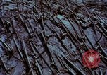Standbild Mount Saint Helens Washington State United States USA, 1984, aus Sekunde 52 historischem Filmmaterial Videoclip 65675037868