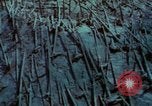Standbild Mount Saint Helens Washington State United States USA, 1984, aus Sekunde 53 historischem Filmmaterial Videoclip 65675037868
