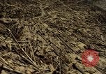 Standbild Mount Saint Helens Washington State United States USA, 1984, aus Sekunde 13 historischem Filmmaterial Videoclip 65675037870