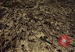 Standbild Mount Saint Helens Washington State United States USA, 1984, aus Sekunde 15 historischem Filmmaterial Videoclip 65675037870