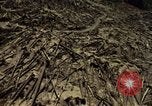 Standbild Mount Saint Helens Washington State United States USA, 1984, aus Sekunde 16 historischem Filmmaterial Videoclip 65675037870