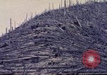 Standbild Mount Saint Helens Washington State United States USA, 1984, aus Sekunde 21 historischem Filmmaterial Videoclip 65675037870