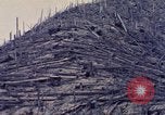Standbild Mount Saint Helens Washington State United States USA, 1984, aus Sekunde 23 historischem Filmmaterial Videoclip 65675037870