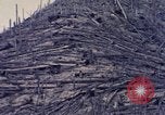 Standbild Mount Saint Helens Washington State United States USA, 1984, aus Sekunde 24 historischem Filmmaterial Videoclip 65675037870