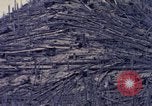 Standbild Mount Saint Helens Washington State United States USA, 1984, aus Sekunde 25 historischem Filmmaterial Videoclip 65675037870