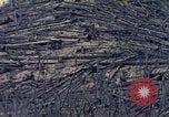 Standbild Mount Saint Helens Washington State United States USA, 1984, aus Sekunde 26 historischem Filmmaterial Videoclip 65675037870