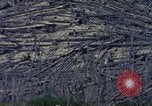 Standbild Mount Saint Helens Washington State United States USA, 1984, aus Sekunde 27 historischem Filmmaterial Videoclip 65675037870