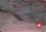 Standbild Mount Saint Helens Washington State United States USA, 1980, aus Sekunde 22 historischem Filmmaterial Videoclip 65675037879