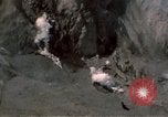 Standbild Mount Saint Helens Washington State United States USA, 1980, aus Sekunde 40 historischem Filmmaterial Videoclip 65675037880