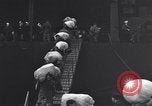 Standbild italienische Kriegsgefangene Neapel Italien, 1945, aus Sekunde 14 historischem Filmmaterial Videoclip 65675037883