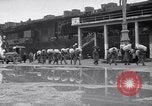 Standbild italienische Kriegsgefangene Neapel Italien, 1945, aus Sekunde 43 historischem Filmmaterial Videoclip 65675037883