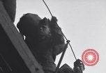 Standbild italienische Kriegsgefangene Neapel Italien, 1945, aus Sekunde 18 historischem Filmmaterial Videoclip 65675037885