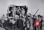 Immagine di Western Desert Campagna Egitto, 1941, secondo 14 filmato di repertorio 65675037886