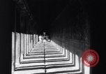Immagine di Angkor Wat Angkor Cambogia, 1955, secondo 29 filmato di repertorio 65675037887