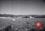 Standbild Piloten United States USA, 1944, aus Sekunde 38 historischem Filmmaterial Videoclip 65675037892