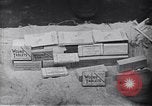 Image of 442nd Combat Team rescue of Lost Battalion France, 1944, second 15 stock footage video 65675037895