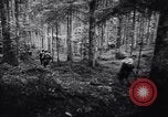 Image of 442nd Combat Team rescue of Lost Battalion France, 1944, second 30 stock footage video 65675037895