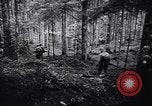 Image of 442nd Combat Team rescue of Lost Battalion France, 1944, second 31 stock footage video 65675037895