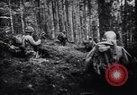 Image of 442nd Combat Team rescue of Lost Battalion France, 1944, second 33 stock footage video 65675037895