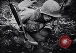Image of 442nd Combat Team rescue of Lost Battalion France, 1944, second 35 stock footage video 65675037895
