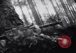 Image of 442nd Combat Team rescue of Lost Battalion France, 1944, second 39 stock footage video 65675037895