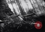 Image of 442nd Combat Team rescue of Lost Battalion France, 1944, second 40 stock footage video 65675037895