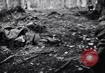 Image of 442nd Combat Team rescue of Lost Battalion France, 1944, second 42 stock footage video 65675037895