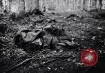 Image of 442nd Combat Team rescue of Lost Battalion France, 1944, second 43 stock footage video 65675037895