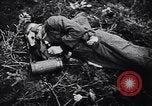 Image of 442nd Combat Team rescue of Lost Battalion France, 1944, second 49 stock footage video 65675037895